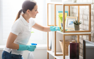 Green House Cleaning | Libman Home Cleaning