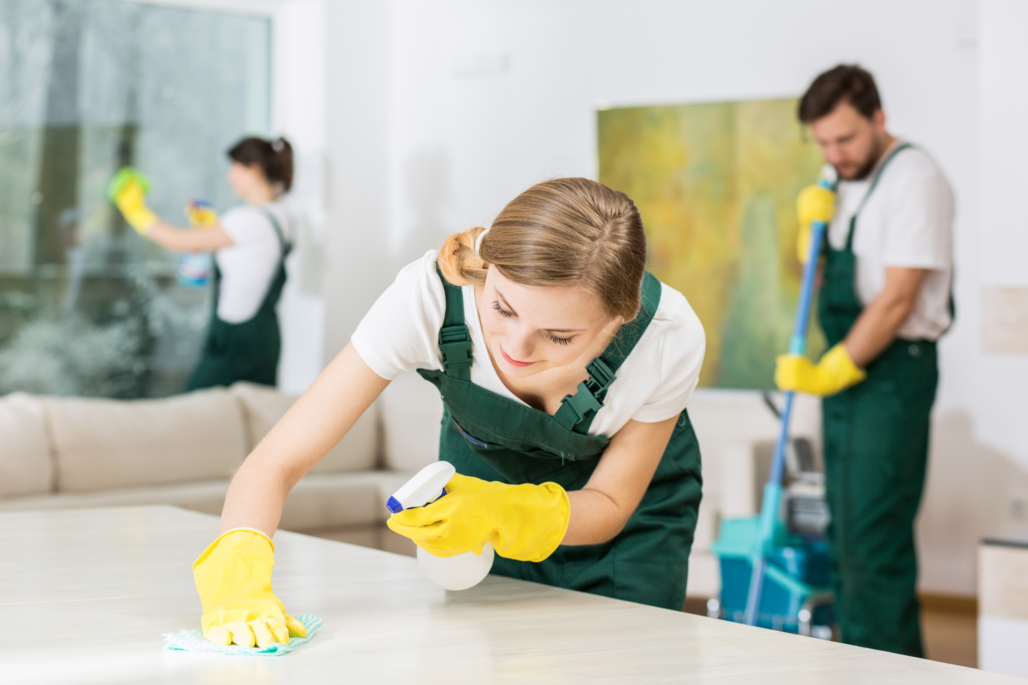 professional cleaning service