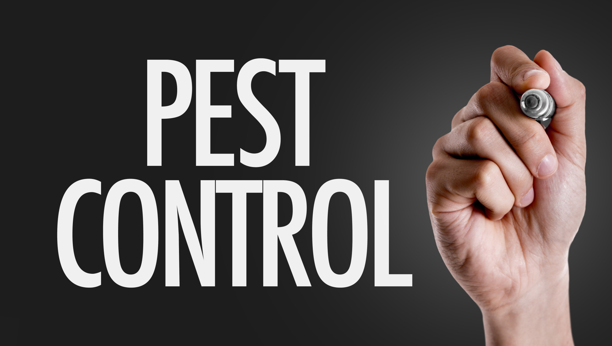 pest control tips pest control tips