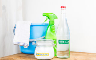 professional house cleaners