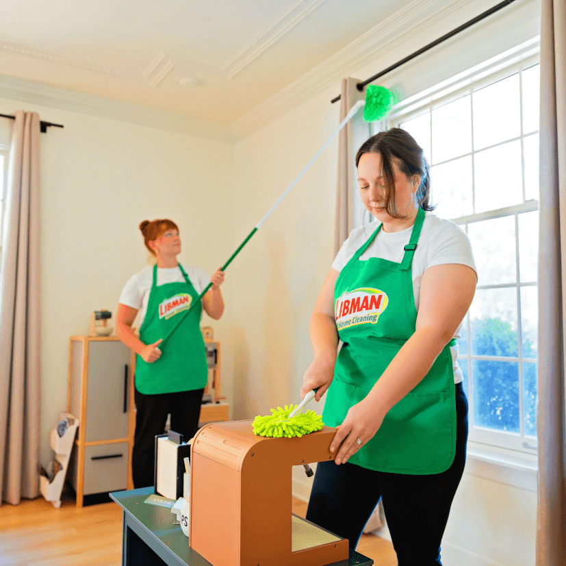deep cleaning services One-time or Seasonal Deep Cleaning | Pewaukee, WI